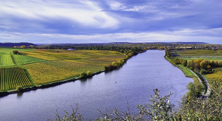 Der Krappenfelsen am Neckar bei Lauffen am Neckar