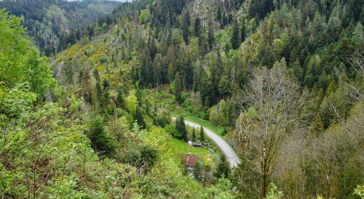Schwarzwald 2024 – bei und in Schramberg – ein kurzer Ausflug