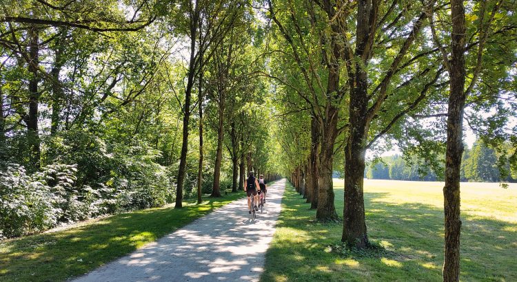 Sommerende – Es geht Richtung Herbst