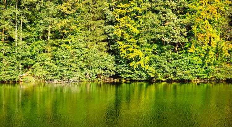 Durch den Schwäbisch-Fränkischen Naturpark – ein Wanderbericht