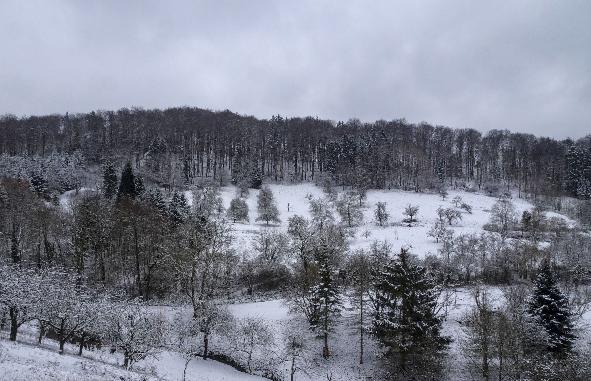 Schneewanderung bei Löwenstein