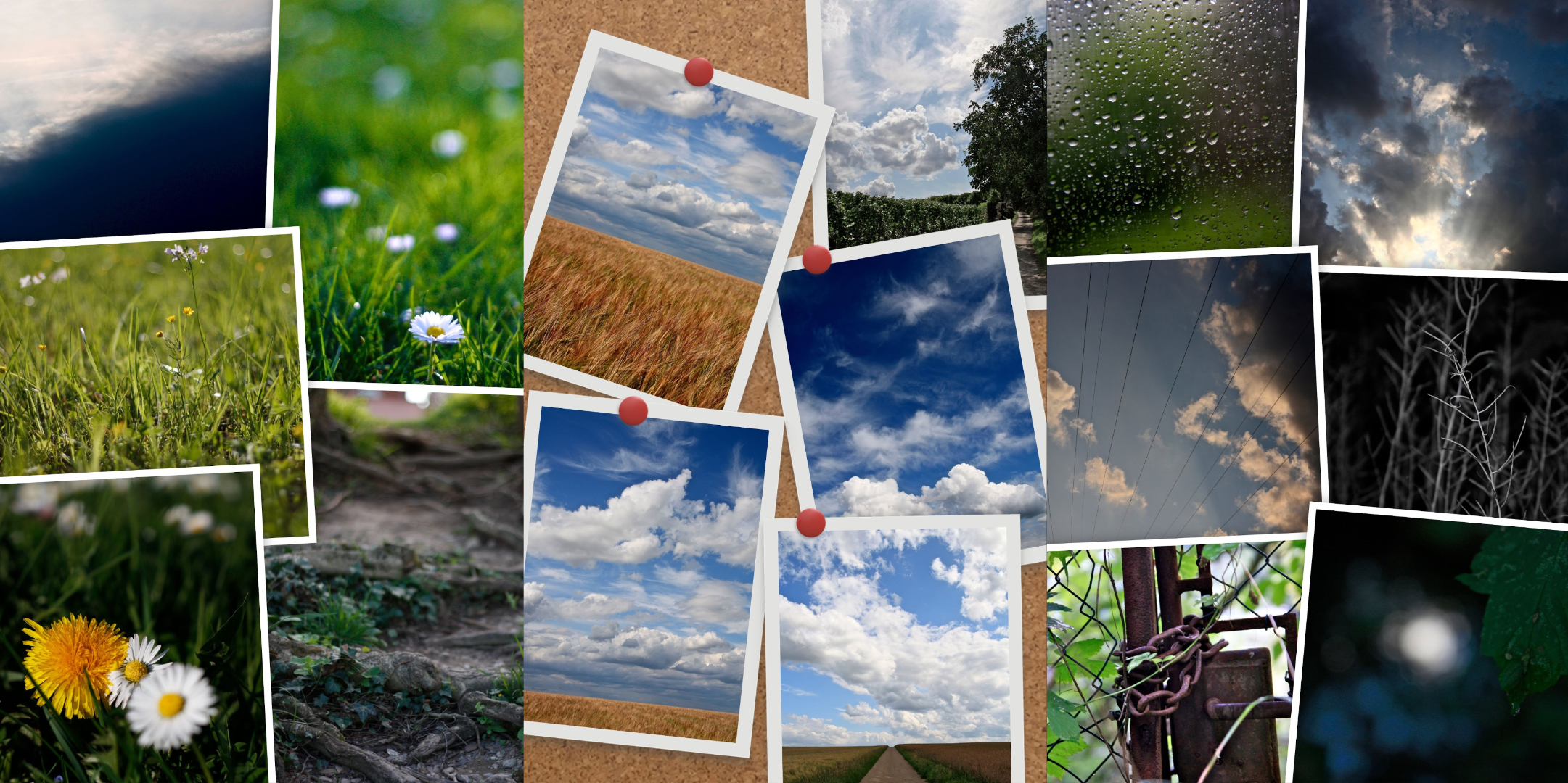 Photo-Collagen, die das Smartphone generiert hat