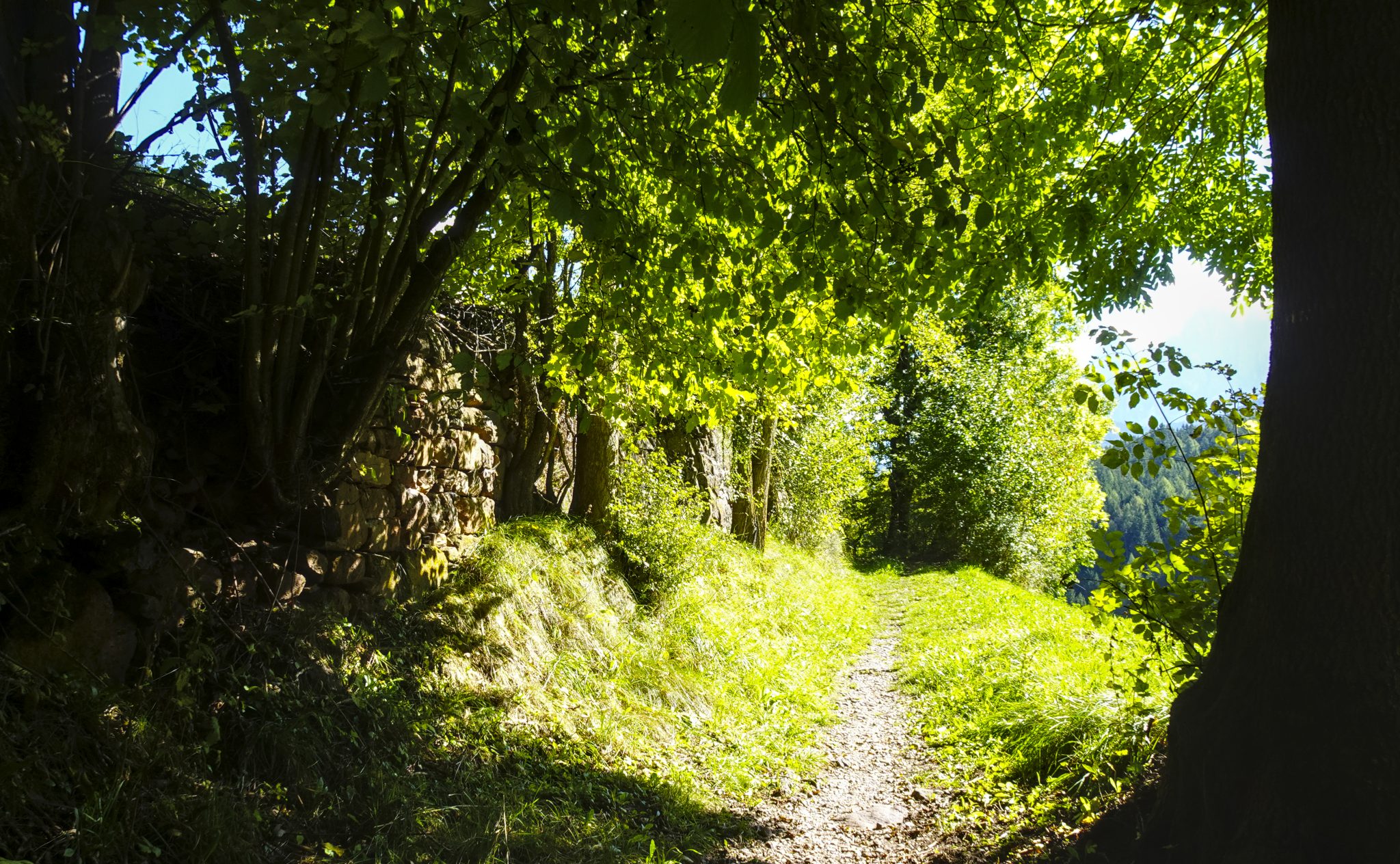 Lauscher Wanderweg. Der Sunnseitnweg im Villnösstal.