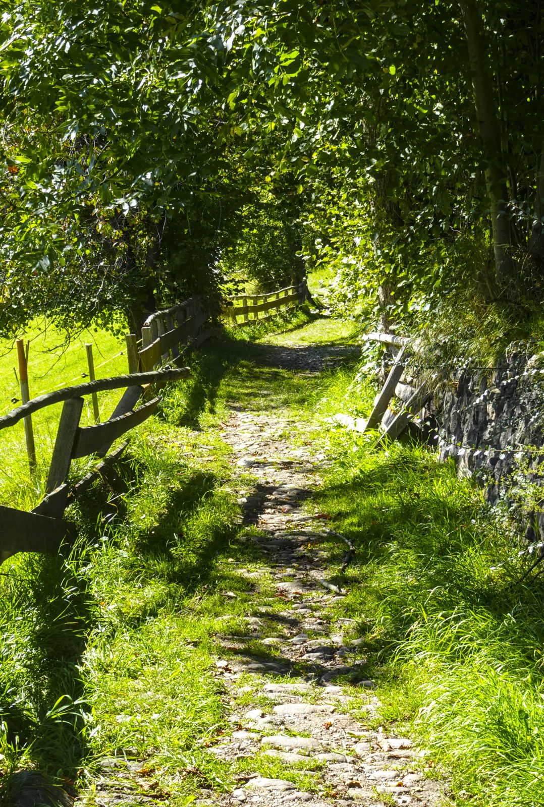 Wunderschöne Wanderwege