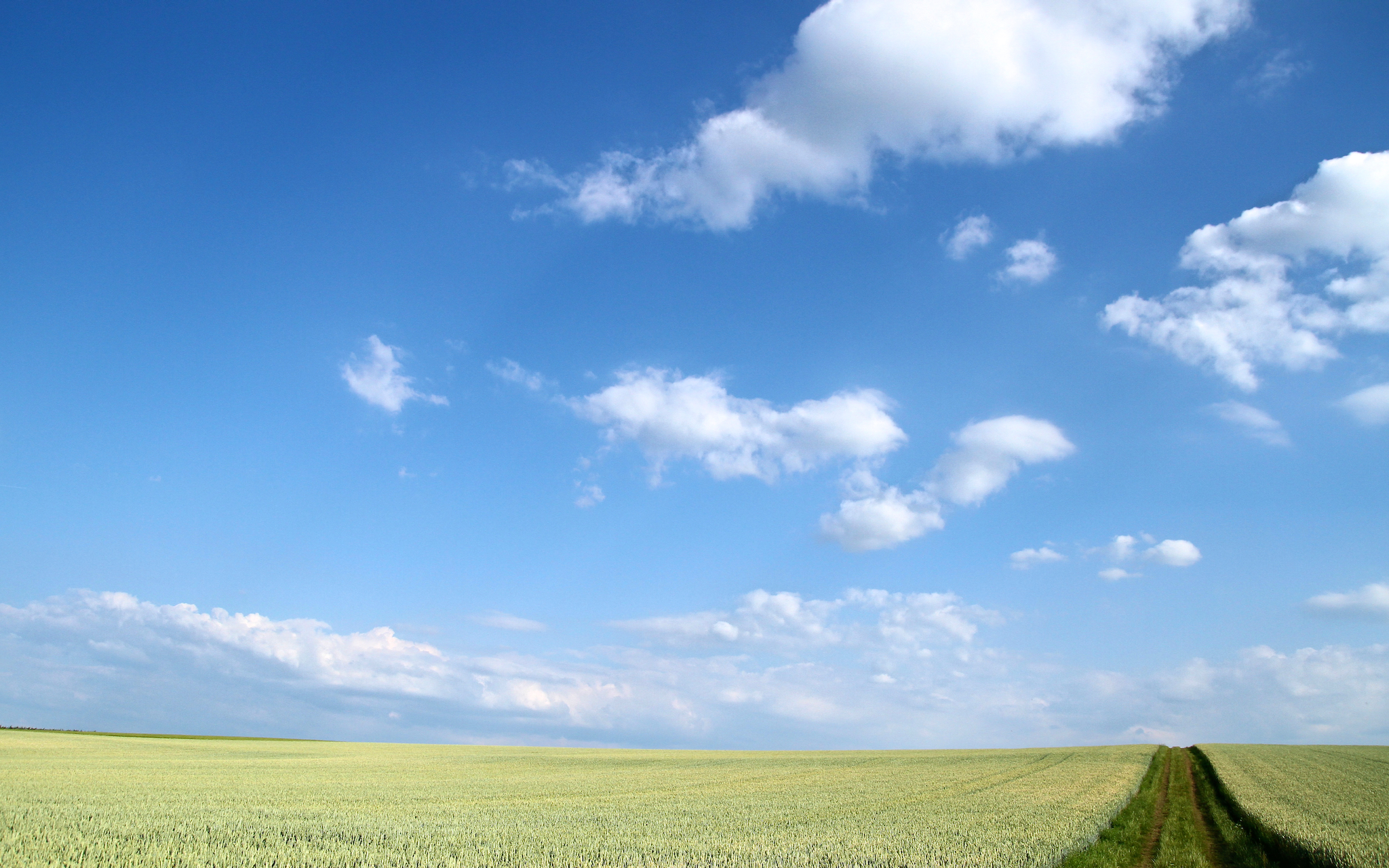 Felder und Feldwege zischen Nordheim und Lauffen.