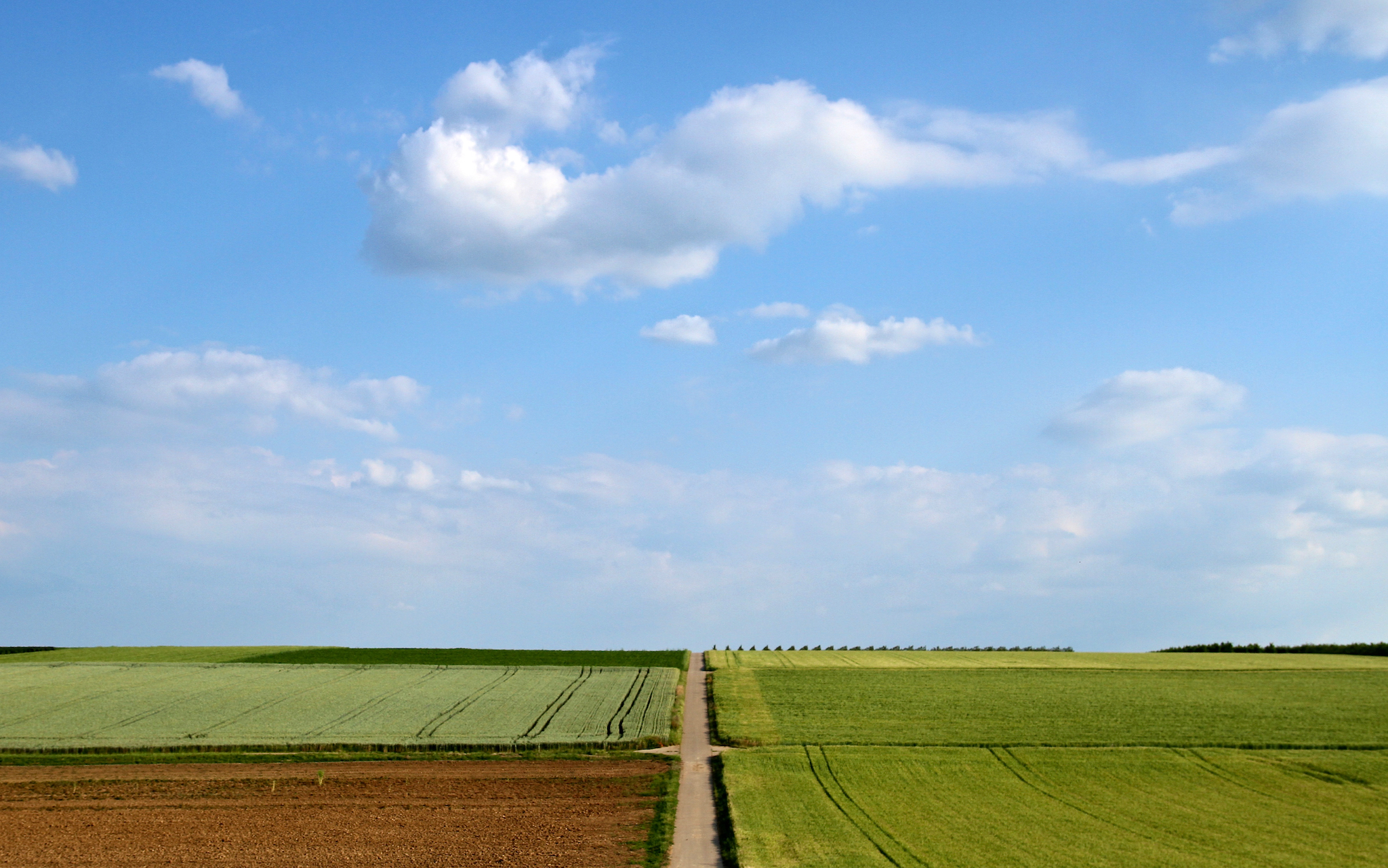 Felder und Feldwege zischen Nordheim und Lauffen.