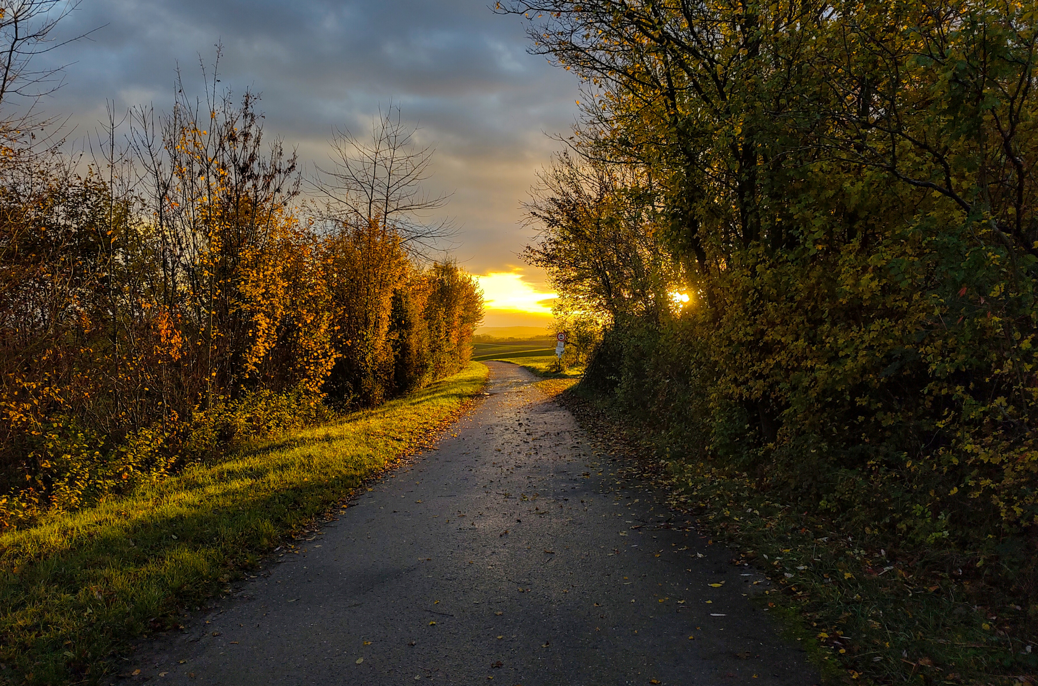 Morgens mit dem Rad zur Arbeit. Der Feldweg zwischen Neckarwestheim und Ilsfeld.