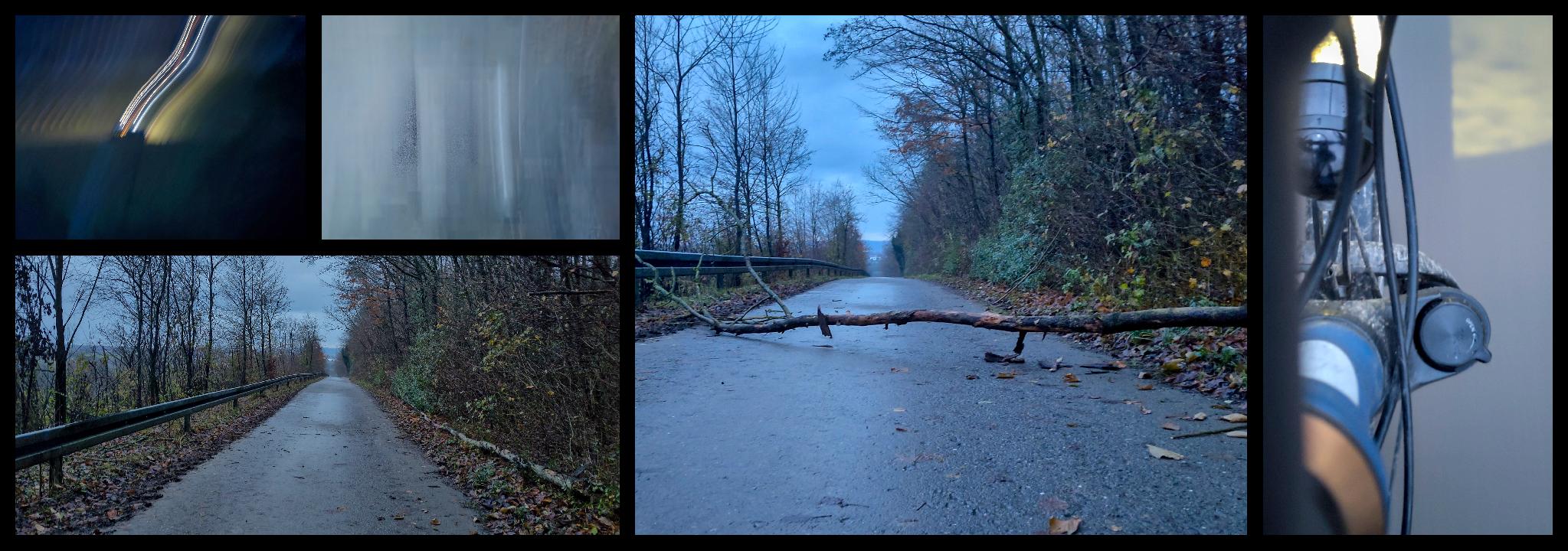 Ein Baumstamm im Weg – morgens mit dem Rad zur Arbeit