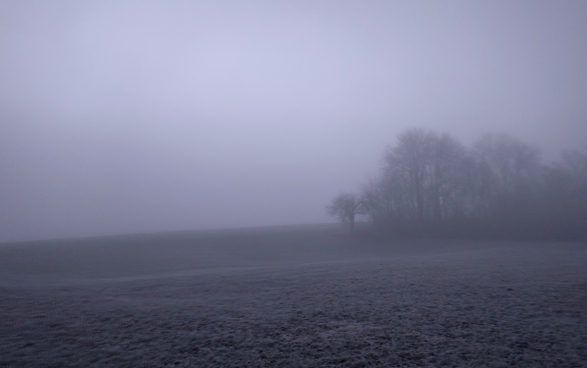 Nebel auf dem Weg zur Arbeit. Mit dem Rad.