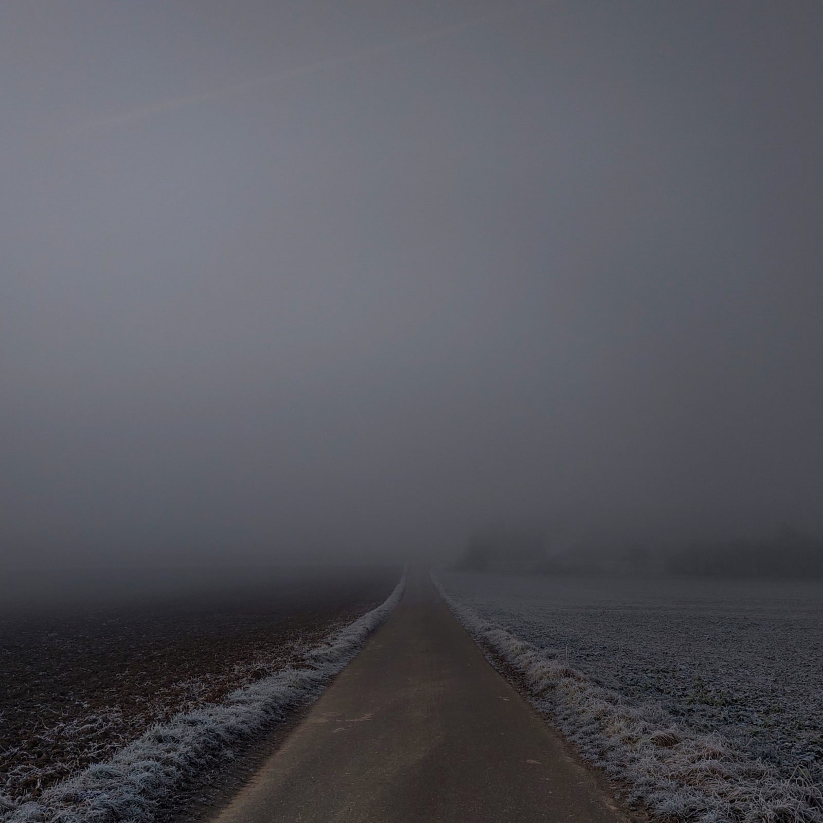 Nebel auf dem Weg zur Arbeit. Mit dem Rad.