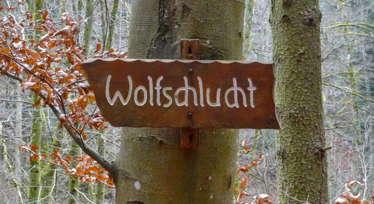 Wolfschlucht - eine spannende Wanderung im Schwarzwald