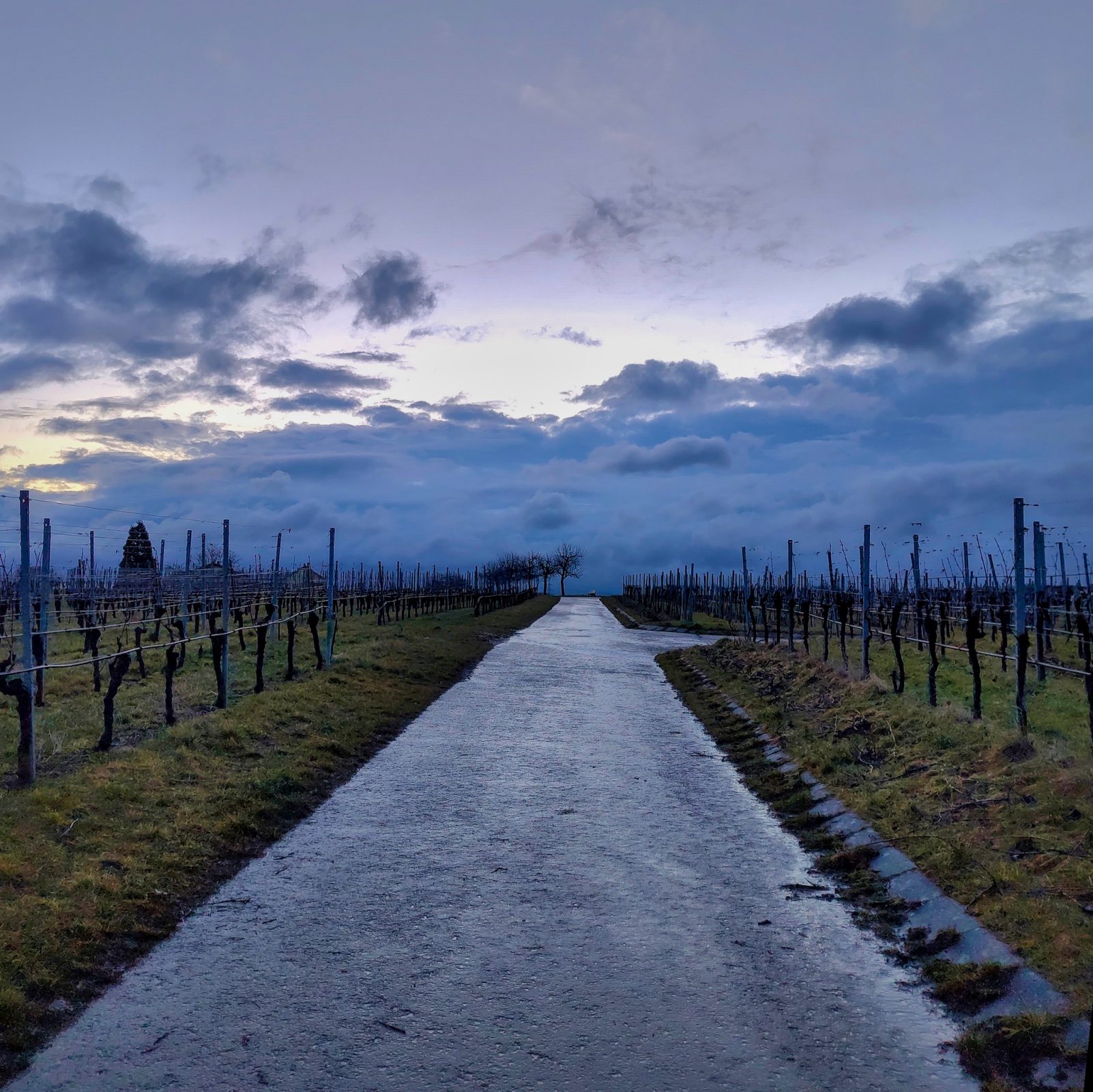 Unwetter-Wolken. Morgens beim zur Arbeit Radeln. In den Weinbergen bei Neckarwestheim.