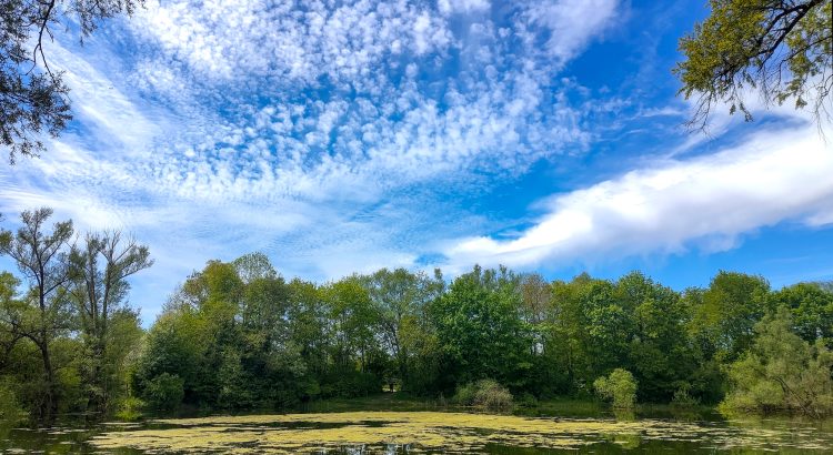Kühler April - ein digitaler Rückblick