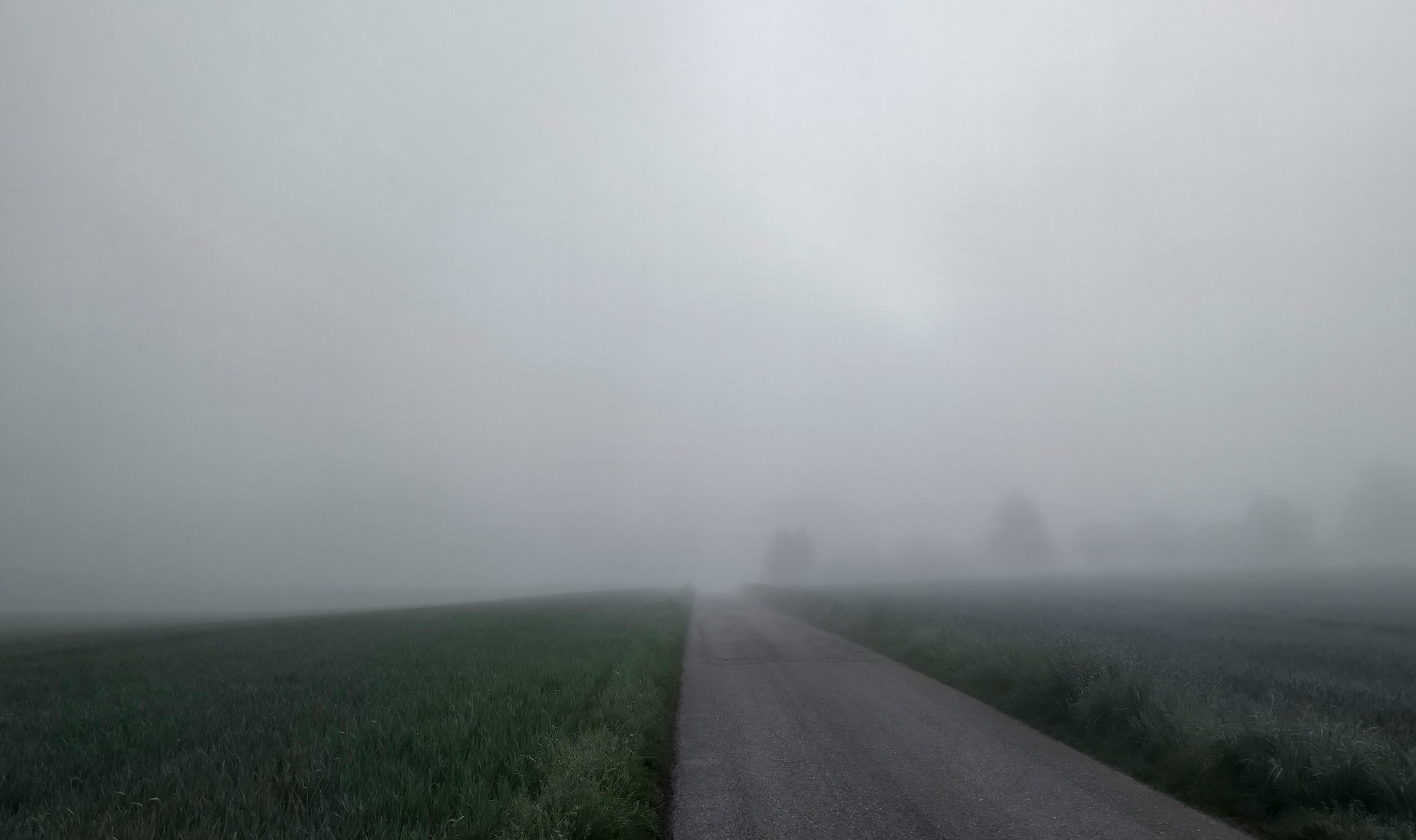 Nebel beim Leuchtmannshof, bei Neckarwestheim.