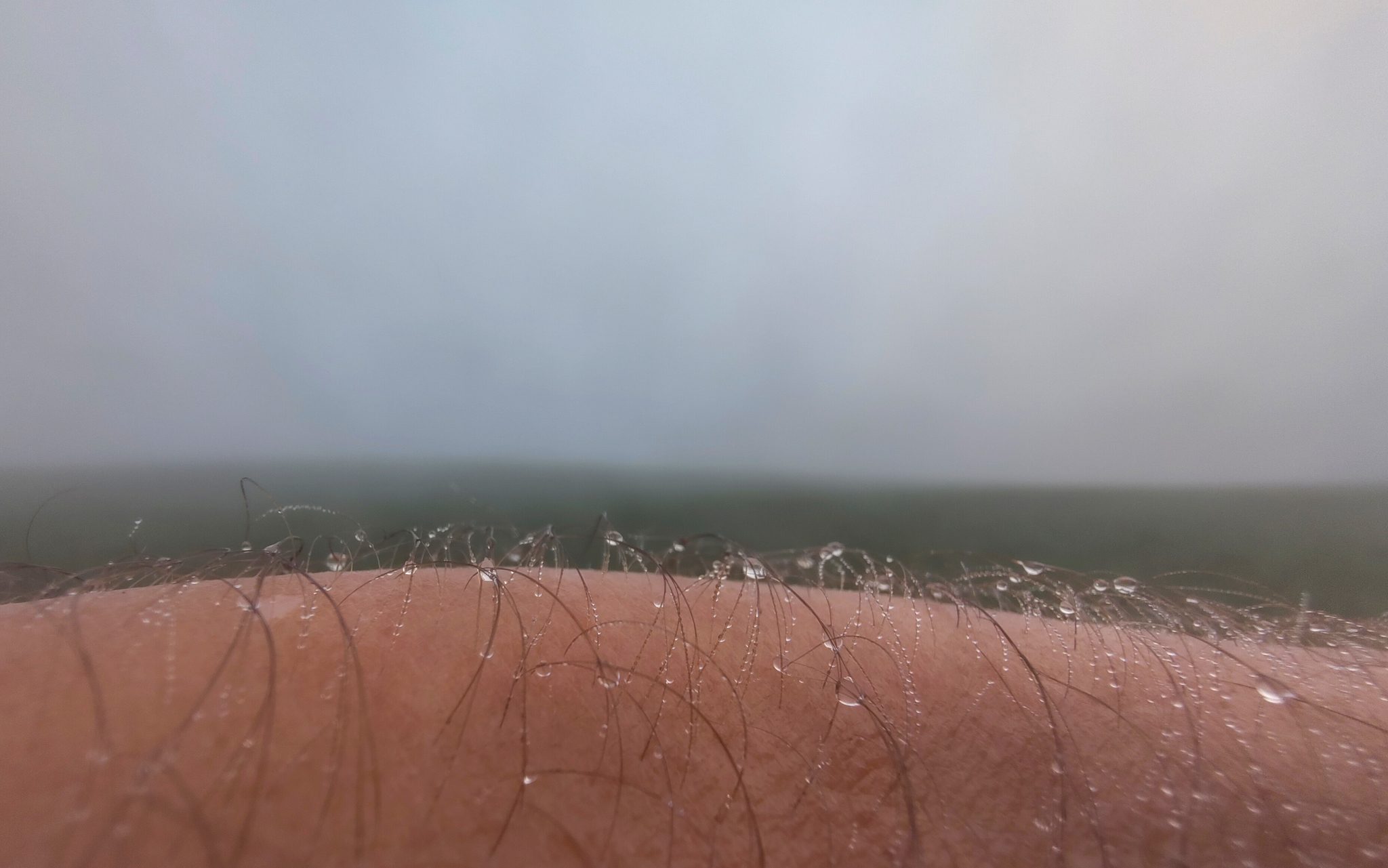 Frischer Nebel auf dem Unterarm. Morgens, auf dem Weg zur Arbeit. Mit dem Rad.