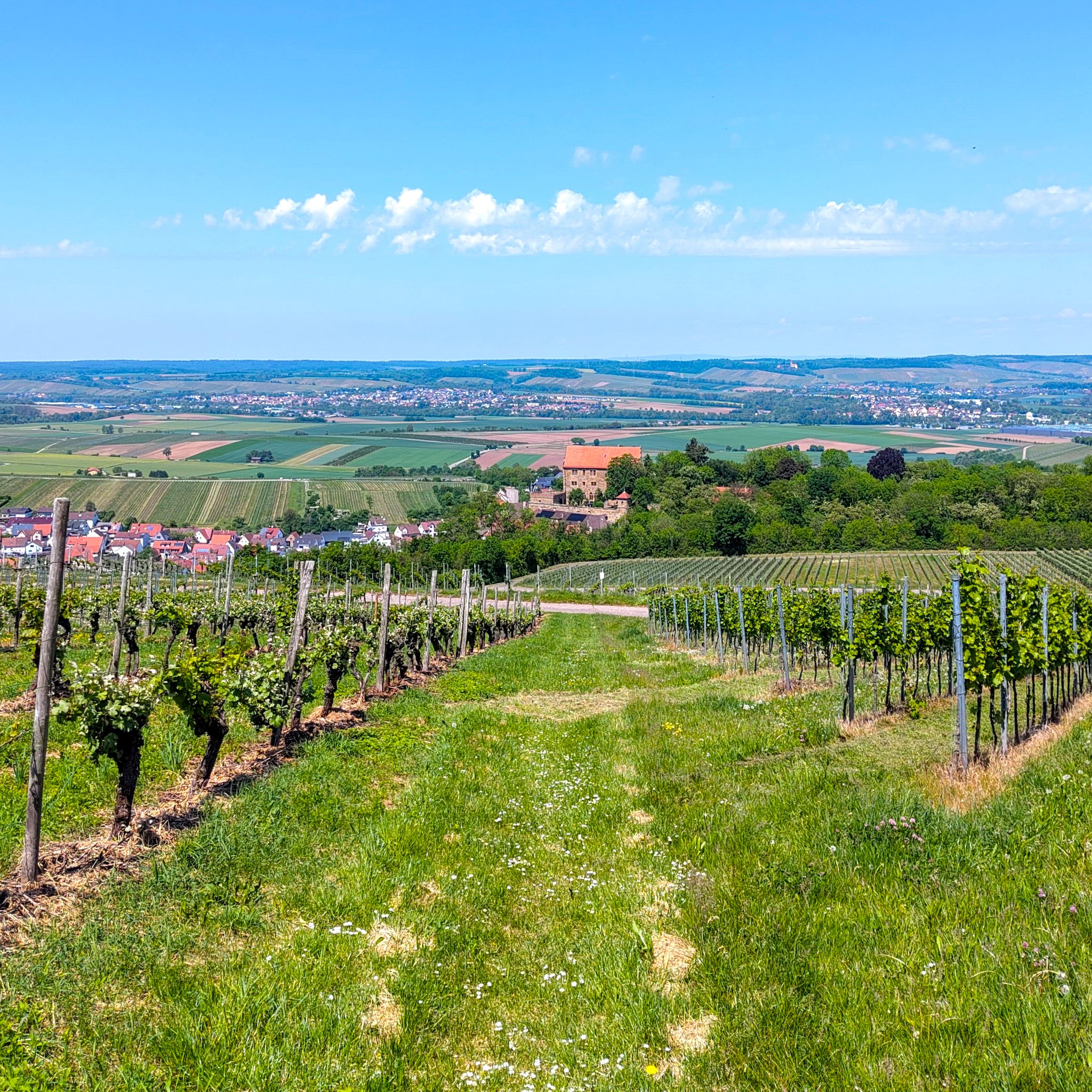 Am Michaelsberg der Blick Richtung Weingut Storz bei Cleebronn.