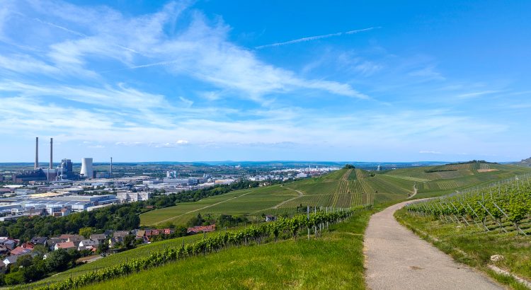 Monatsreigen – ein digitaler Rückblick auf den Mai 2026