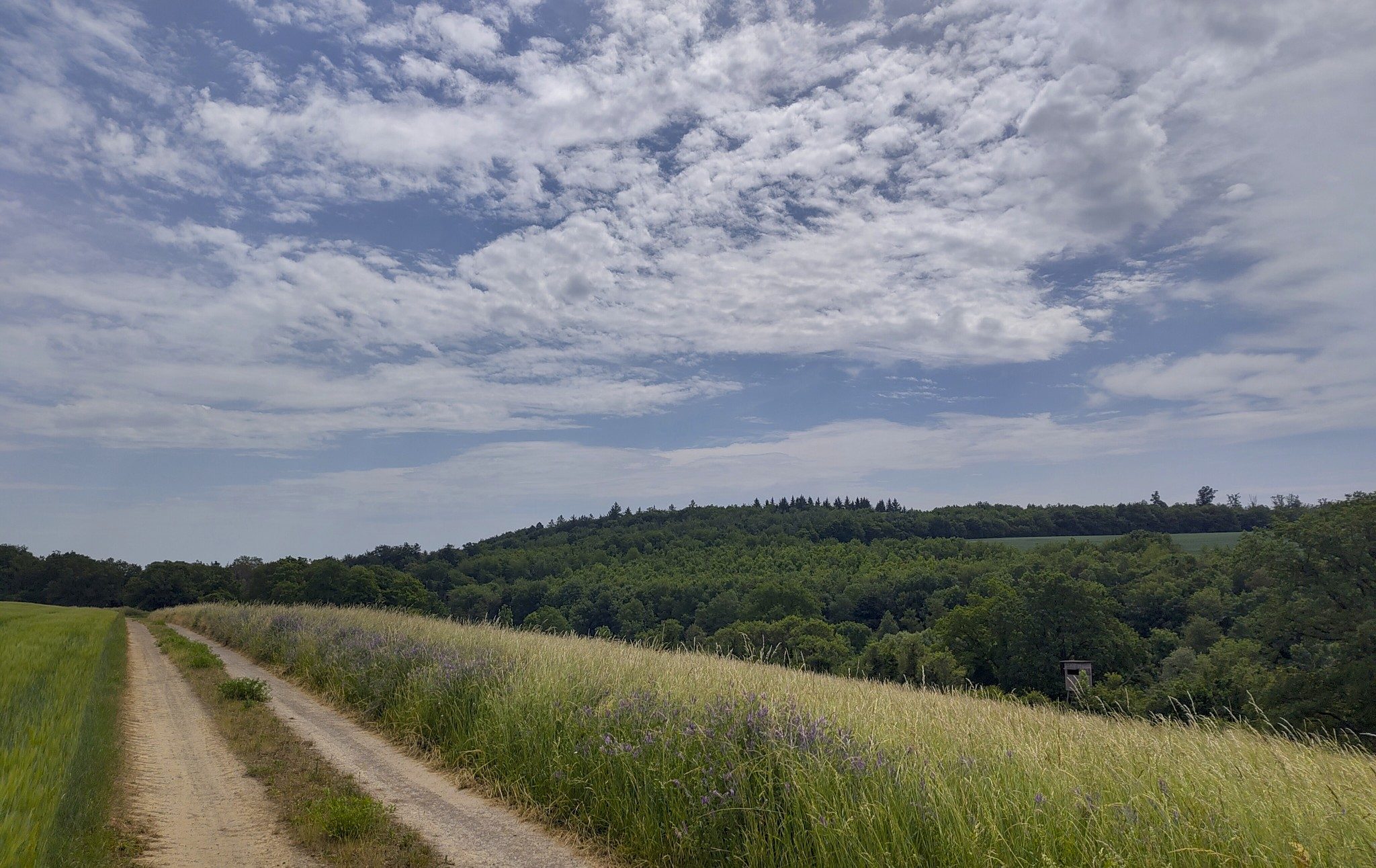 Irgendwo Bonfeld und Biberach.