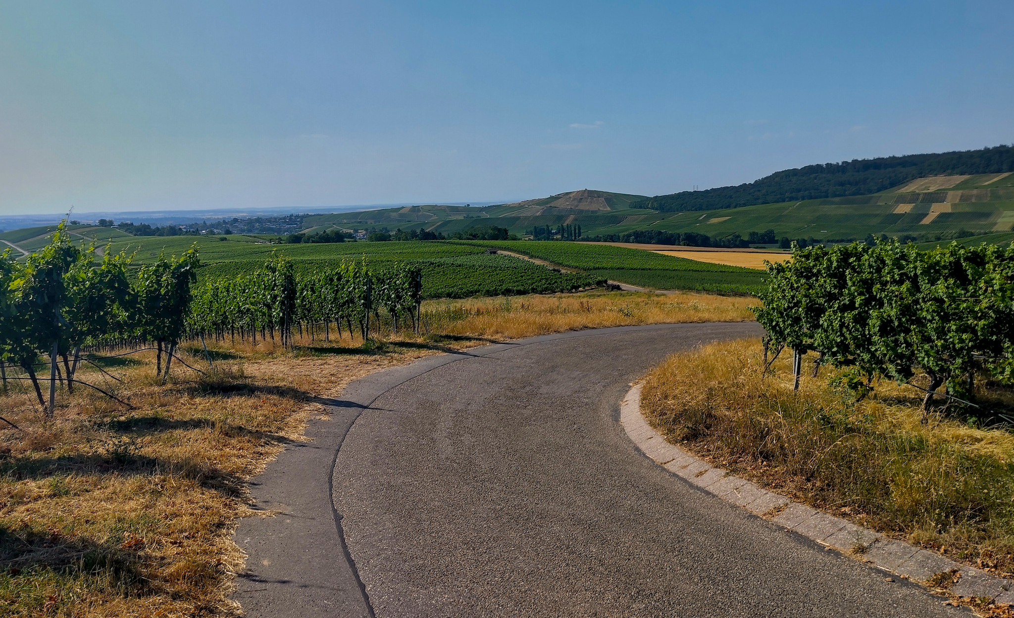 Hitzewelle im Juni 2026. 37° C hatte es zur Zeit des Bildes. Kurz vor Flein in den Weinbergen.