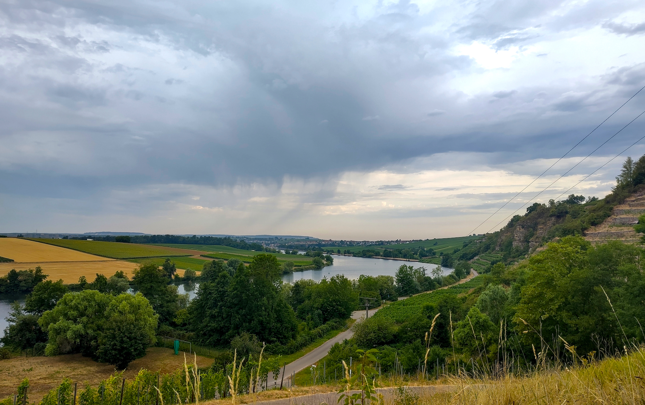 Die Landschaft zeigt das Neckartal bei Lauffen am Neckar, Baden-Württemberg. Typisch für die Region sind die steilen Weinberge, insbesondere die Einzellage "Lauffener Katzenbeißer". Der Neckar fließt durch die malerische Landschaft, die sich gut für Wanderungen und Radtouren eignet.
