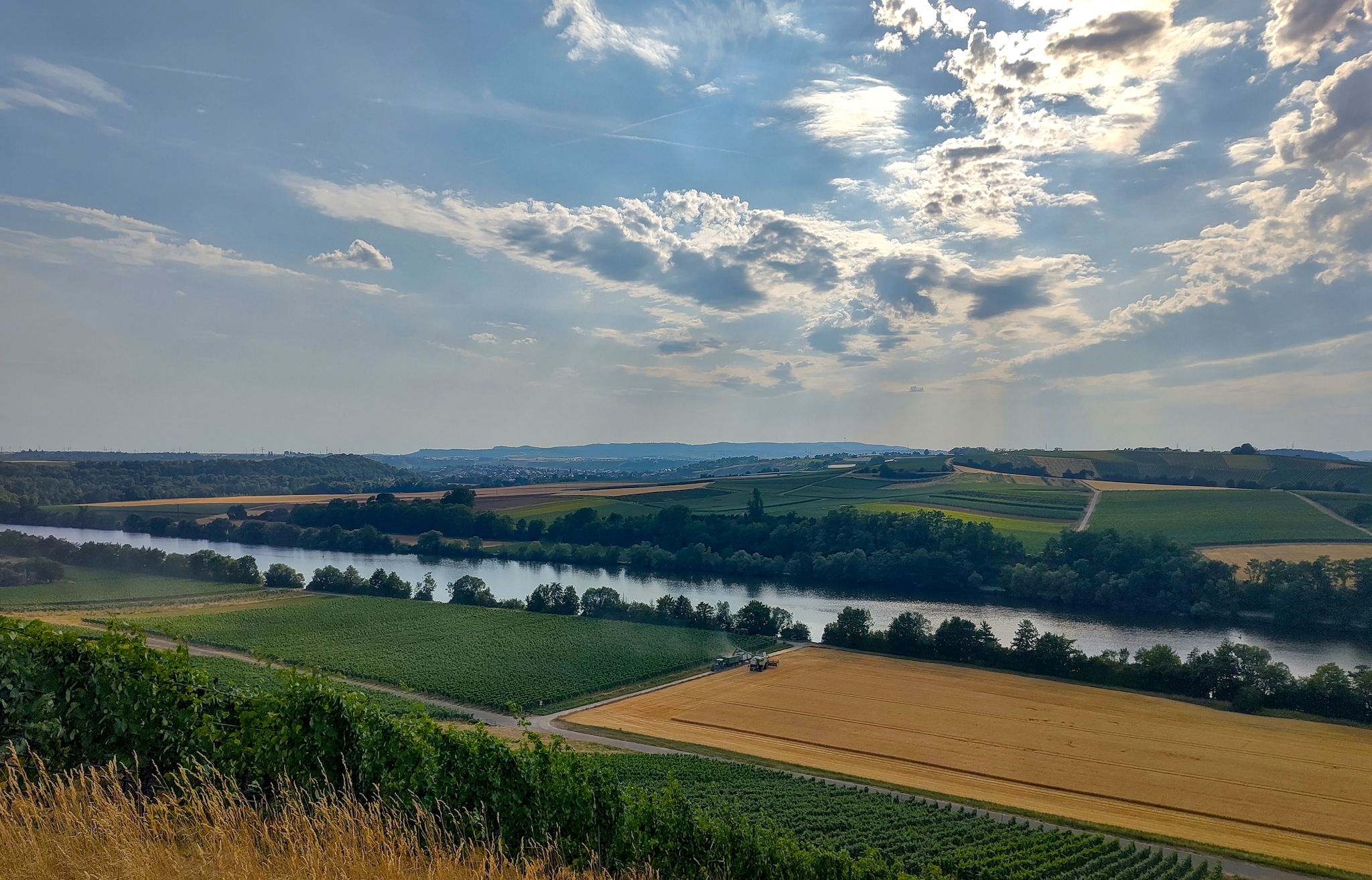 Der Blick von der Panoramastraße bei Neckarwestheim in Richtung Kirchheim am Neckar. Das Bild zeigt eine malerische Landschaft mit dem Neckar, Weinbergen und Feldern im Heilbronner Land. Die Gegend ist bekannt für den Weinbau, besonders für Sorten wie den Schwarzriesling aus Lagen wie dem „Katzenbeißer“.