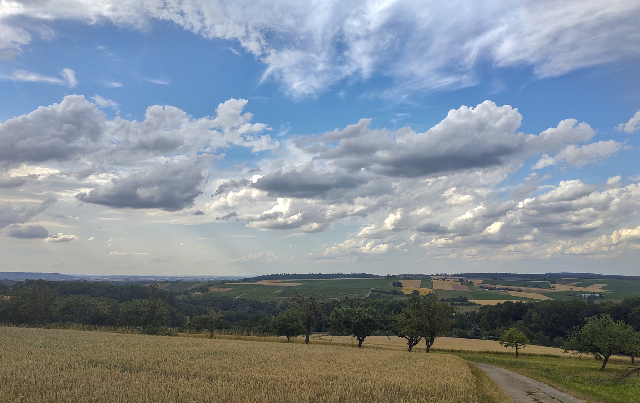 Der Blick vom Dietersberg Richtung Heilbronn
