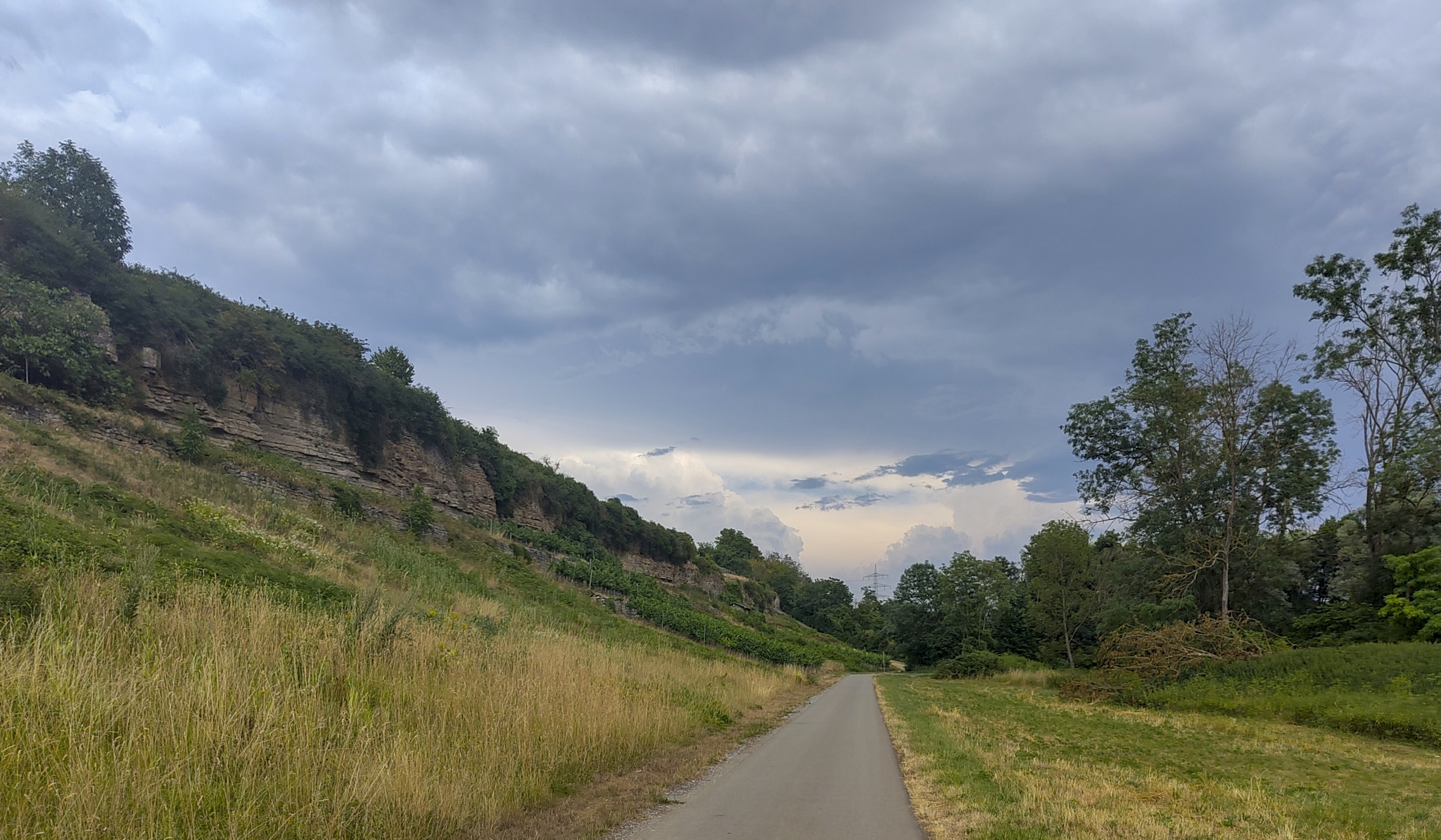 Der Radweg nach Lauffen, kurz bevor man em Neckar entlang radelt