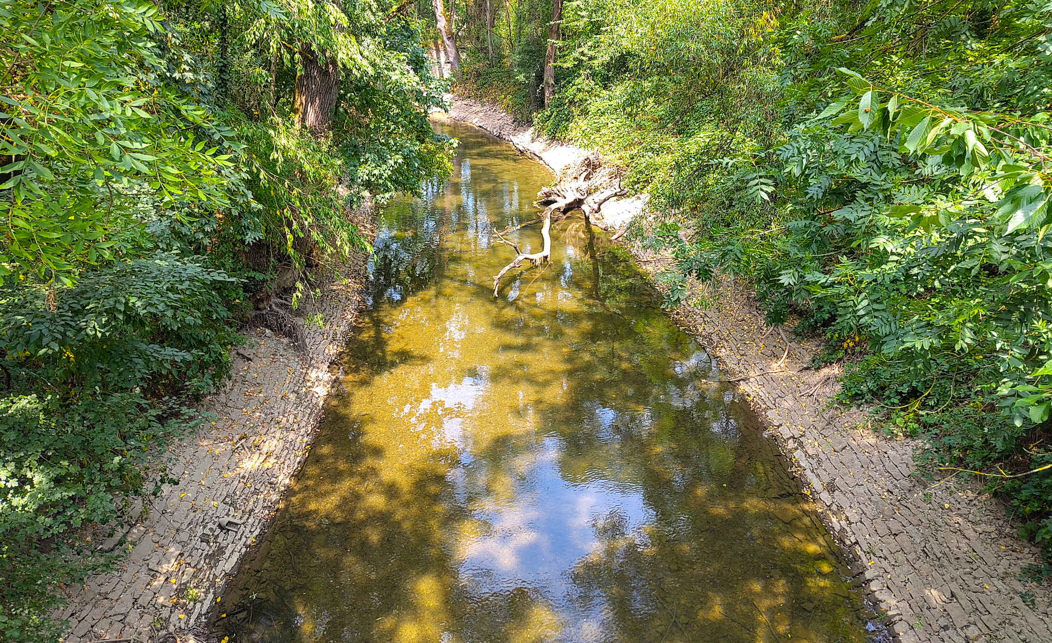 Der Kocherkanal am Hagenbacher Wehr. Ziemlicjher Wassertiefstand nach der langen Trockenzeit