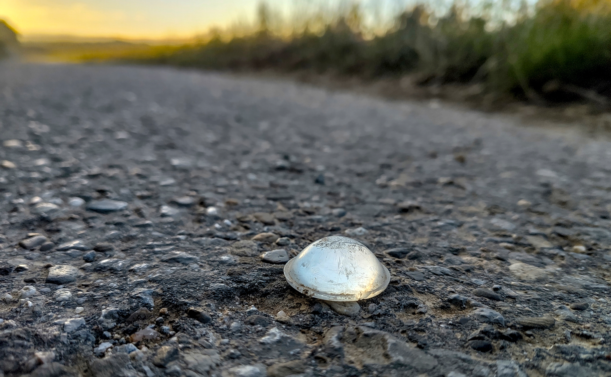 Ein Reflektor (keine Ahnung, was es wirklich ist – eben ein reflektierendes Objekt) liegt aufm Radweg.