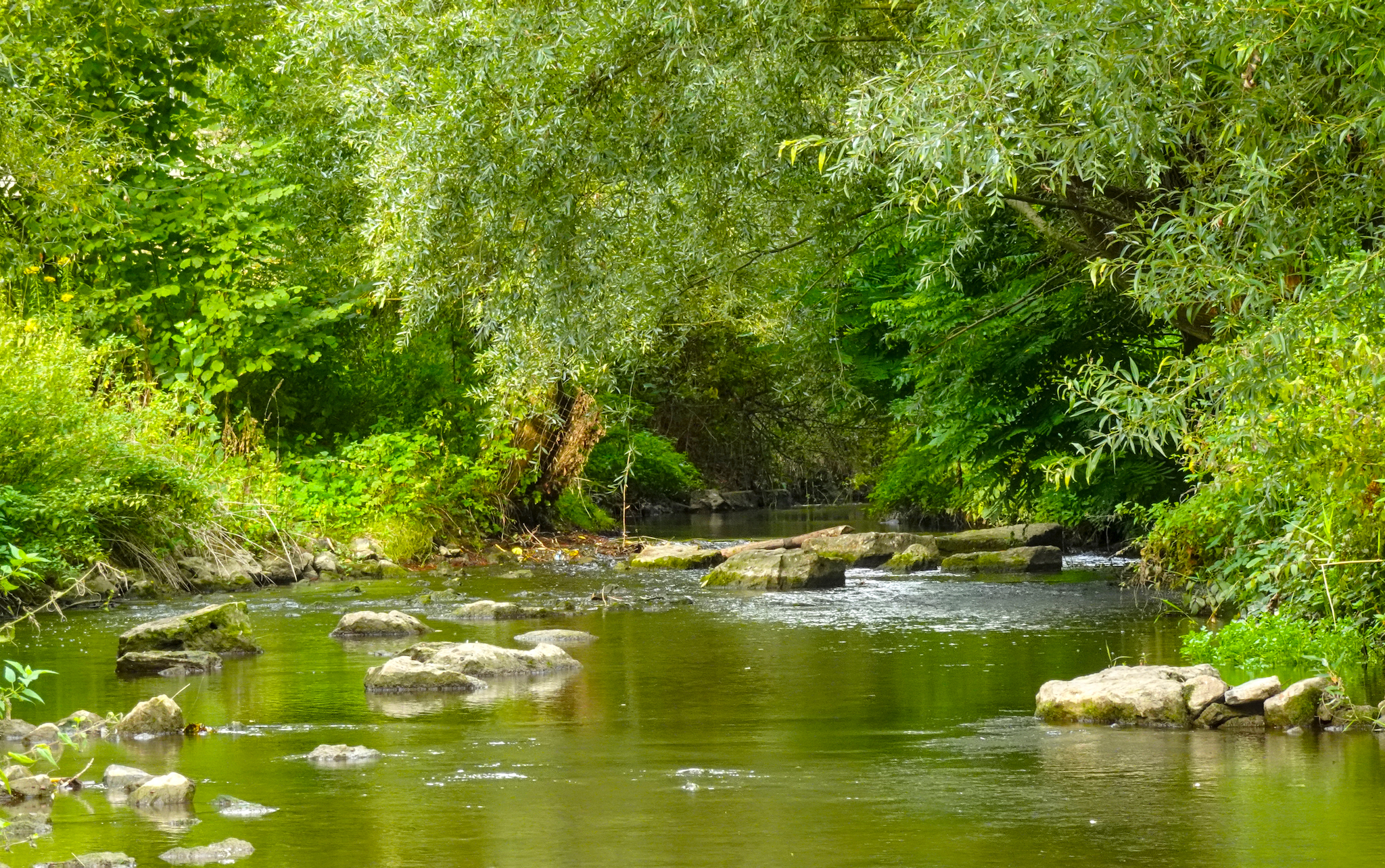 Die Zabermündung in Lauffen am Neckar. Da wo die Zaber in den Neckar fließt.