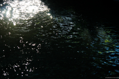 2012-07-23_um_19-13-07