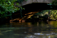 2012-07-23_um_19-25-21
