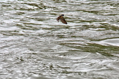 2013-04-28_um_10-31-22