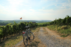 2013-07-17_um_18-45-28