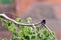 2014-06-14_um_09-59-08