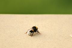 2014-06-25_um_06-30-54