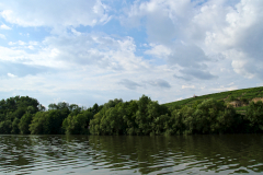 2014-07-11_um_17-40-44