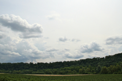 2014-07-13_um_13-37-19