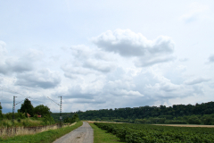 2014-07-13_um_13-37-30