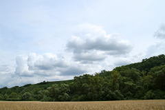 2014-07-13_um_13-42-27