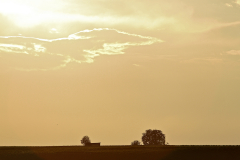2014-08-02_um_20-08-00