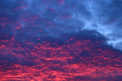 2014-08-25_um_06-22-27