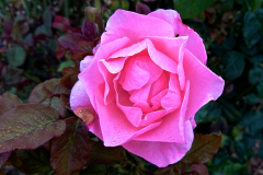 2014-09-18_um_18-14-14