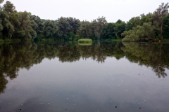 2014-09-18_um_18-18-23