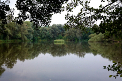 2014-09-18_um_18-18-59