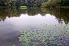 2014-09-18_um_18-19-54