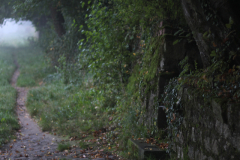 2014-10-01_um_07-20-00