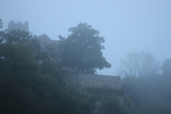 2014-10-01_um_07-29-19