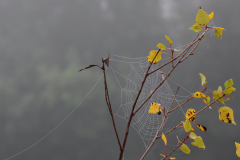 2014-10-01_um_08-02-38