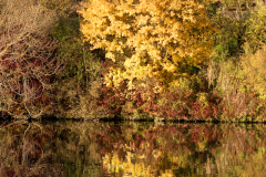 2014-11-02_um_15-53-00